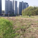 양지리 농장 이미지