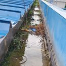 대구 달성군 논공공단 금속공장 판넬 보수공사 대구 남구 이천동 빌라 지붕 싱글보수공사 대구 공장지붕누수 보수업체 공장지붕 방수업체 이미지