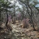 2021.03.18 부산 해운대 장산 산행후기