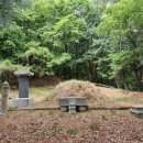 풍창부부인조씨묘 이미지