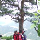 투구봉가든 이미지