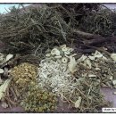 봉삼약초농장 이미지