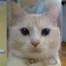 인천용현초등학교 이미지