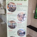 하동야생차박물관 | 하동 카페 추천 하동야생차박물관 티카페하동 체험 프로그램 정보 (ft. 하동야생차문화축제)