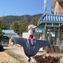 홍성 가볼만한 곳 :: 광천전통시장, 광천토굴새우젓시장 (새우젓 상가 추천)