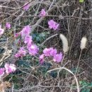 도원관광펜션 이미지