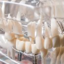 종로밀레니엄치과의원 이미지