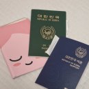 조치원읍 1민원실 | 여권 발급 신청 방법 : 비용 준비물 수령기간 시간 장소 사진 (세종시청, 카쉬스튜디오 )