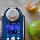 다미농장 이미지