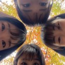 11월 정산_가을을 보내며 먹쨩일기.zip