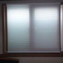 새정문약국 이미지