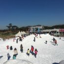 안성시사계절썰매장 이미지