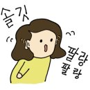 식물가게오늘
