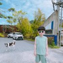 구띠엘 | 발리 짱구 맛집 와룽 구띠(Warung Gouthe) 프랑스 요리 전문점 물가 인도네시아 발리 여행 개조심