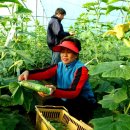 동곡농업협동조합마트 이미지