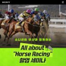 렛츠스포츠 이미지