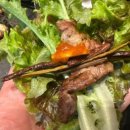 반월축산 이미지