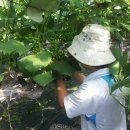 예성농장 이미지