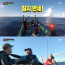참치사냥 이미지