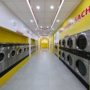 프로세탁소 이미지