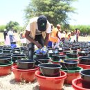 중부-현장-중부-774 이미지