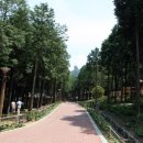 우드랜드 화장실 이미지