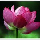 북면-7 이미지