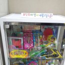 참사랑학원