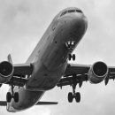 김준호행정사사무소 이미지