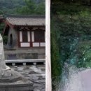 대국합기도 이미지
