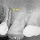 드림S치과의원 이미지