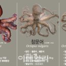 대문수산 이미지