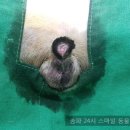 헬리오동물병원 이미지