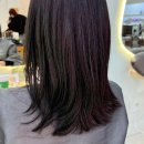 217 | 목포미용실 커트 클리닉 217헤어살롱 목포하당점 후기