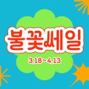 쎄일