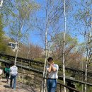 길게임장 이미지