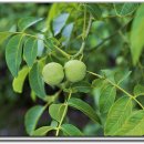 웅치마을길 이미지