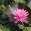 대구서동초등학교 이미지