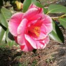 사월농장 이미지