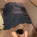 신사역에스테틱 볼륨팜앤테라피 스트레스테라피 + 승모근관리 후기