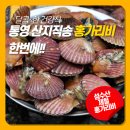 [김장용 김장철 통영굴 택배] [횟감용 생굴회 깐굴 파는곳] 이미지