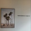 클린피부전문동물병원 | 부산 강아지 피부치료 잘하는 곳, 레알피부전문동물병원 방문 후기