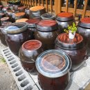 정원광장 이미지