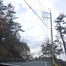 남해섬애약쑥영농조합법인 | 남해가볼만한곳 TIP !! 남해이색체험장- '남해약쑥 후기,위치정보'