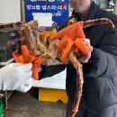 하이펍 강아지고양이 김포본점 | 벌써 1년