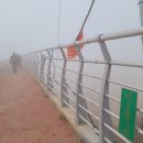 임월교 앞 이미지