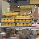 삼기농장 | [하와이 신혼여행] 오아후 필수 코스! 노란 파인애플 천국 '돌 플랜테이션(Dole Plantation)' 완벽 가이드