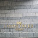 천수 | [중국 상하이] 1000 Trees (천안천수)와 토마스 헤더윅 스튜디오 방문 후기