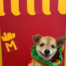 김쪼꼬미용실 이미지