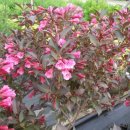 해찬농원 이미지